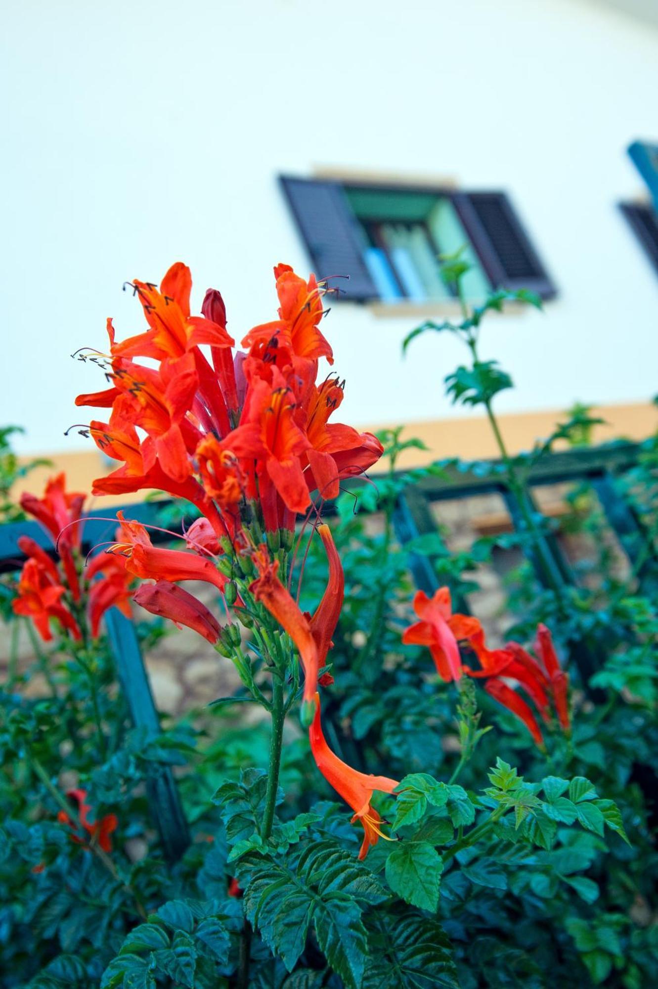 Casale La Zagara Apart otel Sciacca Dış mekan fotoğraf